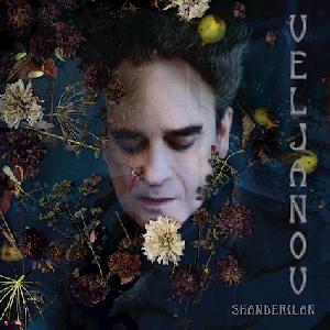 VELJANOV - DIE PERFEKTE DUNKLE WELLE